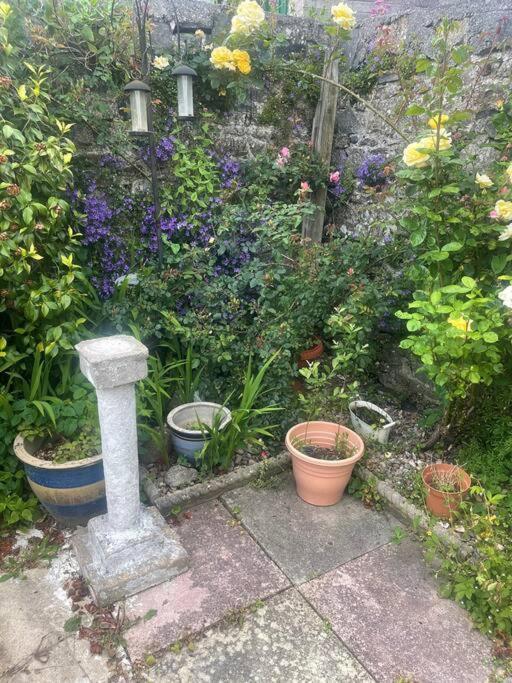 Ivybridge Cottage *